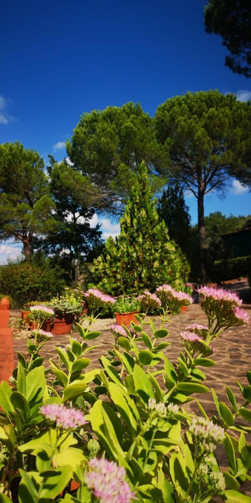 Villa Santa Margherita - La Suvera Ponte A Bozzone Exterior foto