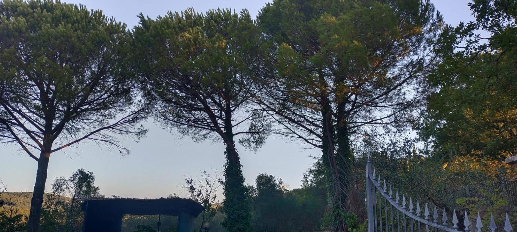 Villa Santa Margherita - La Suvera Ponte A Bozzone Exterior foto